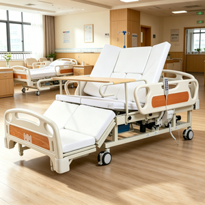 Factory Price Medical Home Care Patient Care Bed Electric Multi Functional Home Care Hospital Bed
